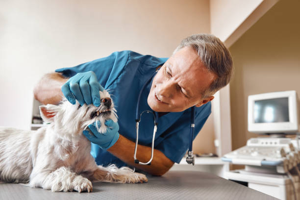 Best Emergency Wisdom Teeth Removal in Marion, SC